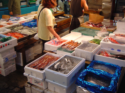 Tokyo fish market, Tokyo 2005