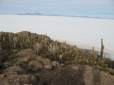 Uyuni: Fish Island, Bolivia 2007