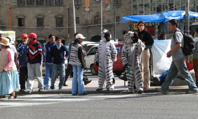 La Paz: Zebras Crossing, Bolivia 2007