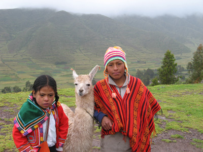 Sacred Valley: Charming Llama, Scared Valley, Peru 2007