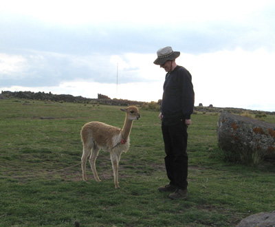 Alpaca + hungry Scotsman, Puno, Peru 2007
