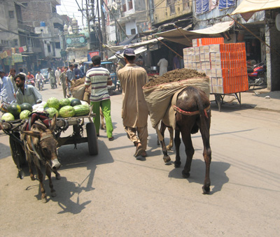 Lahore: Bazaar Street, Pakistan 2008