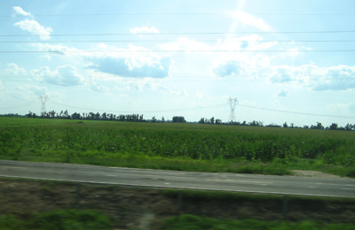 Corn, Missouri, Cahokia, Chicago++ 2009