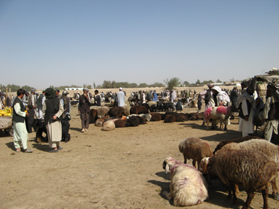 Livestock market, Mazar-e Sharif, Afghanistan 2009