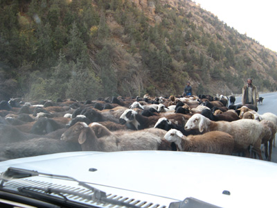 Khojand-Dushanbe, Uzbekistan & Tajikistan 2009