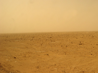 Sahara, 23 m. SW of Marsa Matruh, Siwa, Egypt 2010