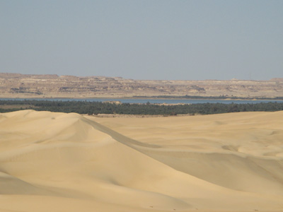 Looking back to Siwa, Egypt 2010
