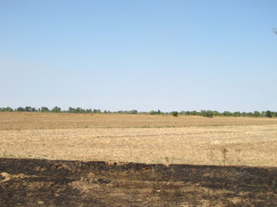 78 miles SE of Kherson Post-harvest fields., Crimea 2011
