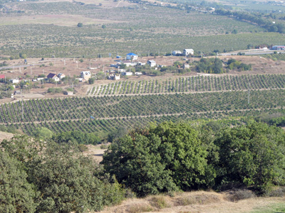 The "Valley of Death", now a vineyard. From Sapun Gor, Sevastopol, Crimea 2011