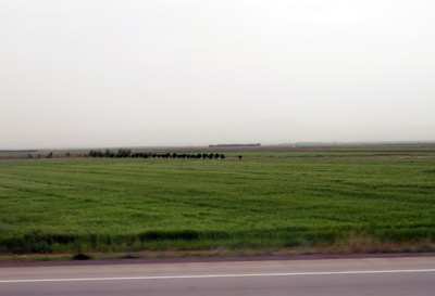 94 miles West of Tehran, Tabriz, 2011 Azerbaijan + Iran + Armenia