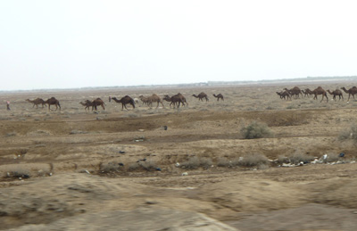 53 miles SE of Babylon, Central Iraq 2012
