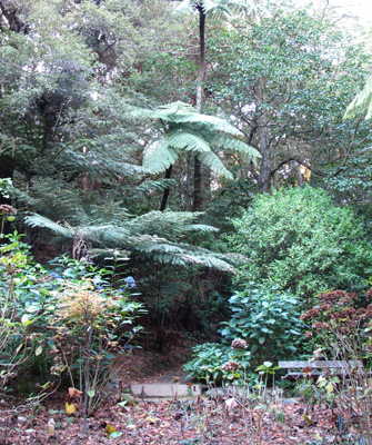 Botanic Gardens, Wellington, 2013 New Zealand