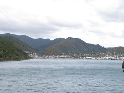 Picot, Wellington to Christchurch, 2013 New Zealand