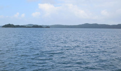 Lago Gatun: The artifical lake at the heart of the canal, Panama Canal Transit, Panama 2014