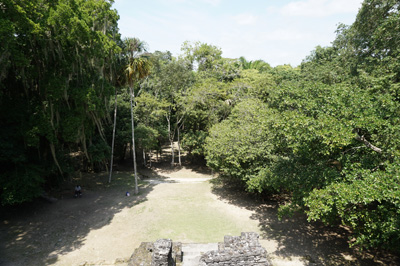 View from Temple of the Masks, Lamanai, Belize 2016