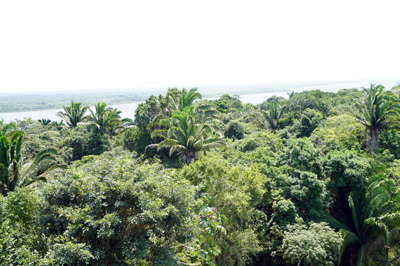 View from HighTemple, Lamanai, Belize 2016
