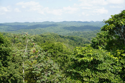 View from Caana, Caracol, Belize 2016