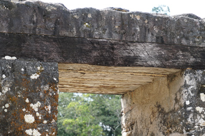 Ancient lintel, Caracol, Belize 2016