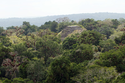 View from Temple IV: Gran Piramide, Tikal, Guatemala 2016