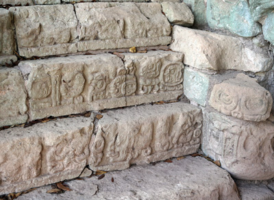 Hieroglyphic Stairway: Detail, Copan, Honduras 2016