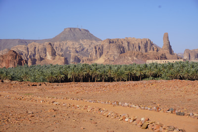 View from rocky Dadan to green plam trees, Al Ula: Dadan, Saudi Arabia 2019
