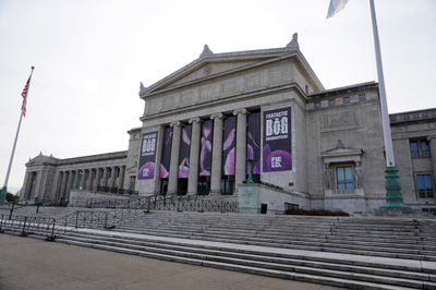 Chicago: The Field Museum, Toronto - Chicago 2019