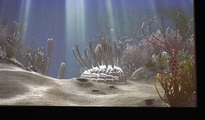 Cambrian Aquarium: Wiwaxia, Chicago: The Field Museum, Toronto - Chicago 2019