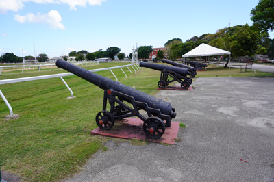 Elderly Cannon, Barbados: Garrison Savannah area, 2020 Caribbean