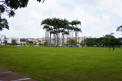La Savane Park, Fort de France, 2020 Caribbean