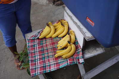 Very fresh, very tasty, bananas, St Lucia: Trip to Soufriere, 2020 Caribbean