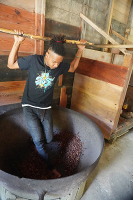 "Dancing" on dried cocoa beans, to polish them, St Lucia: Trip to Soufriere, 2020 Caribbean (Spring)