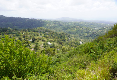 Inland view, St Lucia: Trip to Soufriere, 2020 Caribbean