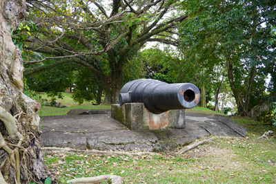 Castries: Apostles battery, St Lucia: Around Castries, 2020 Caribbean