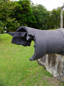 Castries: Apostles battery, St Lucia: Around Castries, 2020 Caribbean (Spring)
