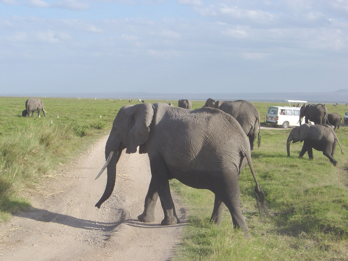 Amboseli National Park