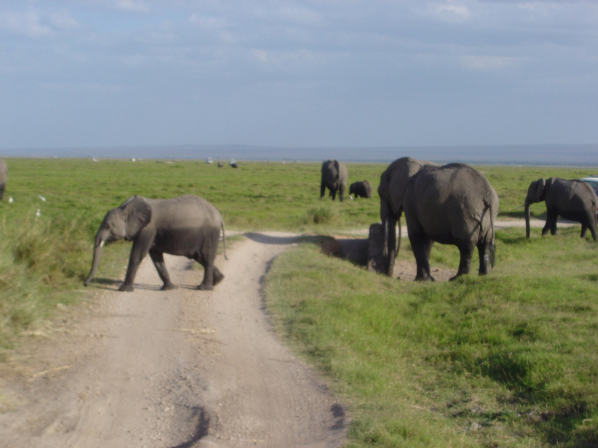 Amboseli National Park