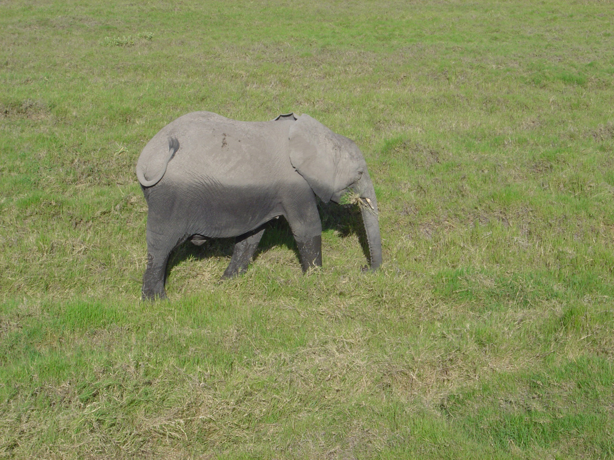 Amboseli National Park