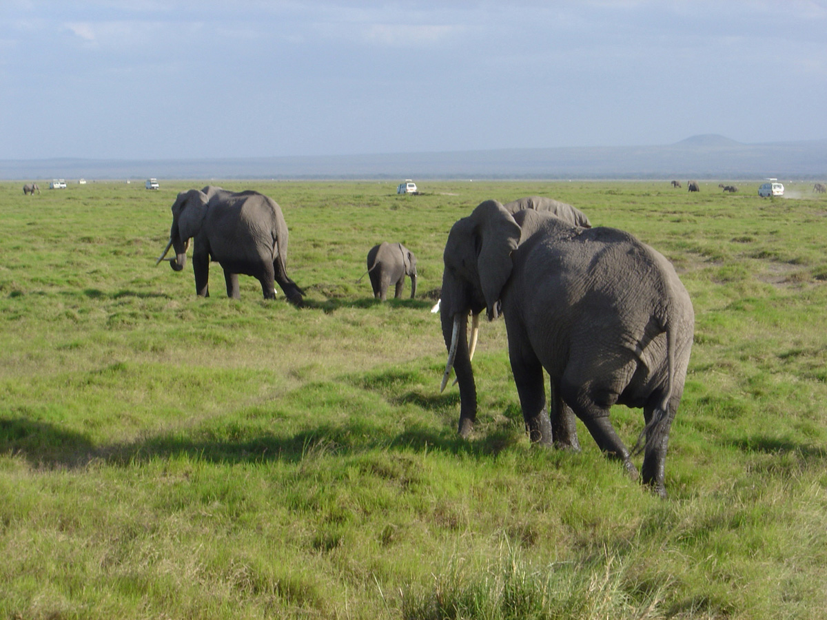 Amboseli National Park