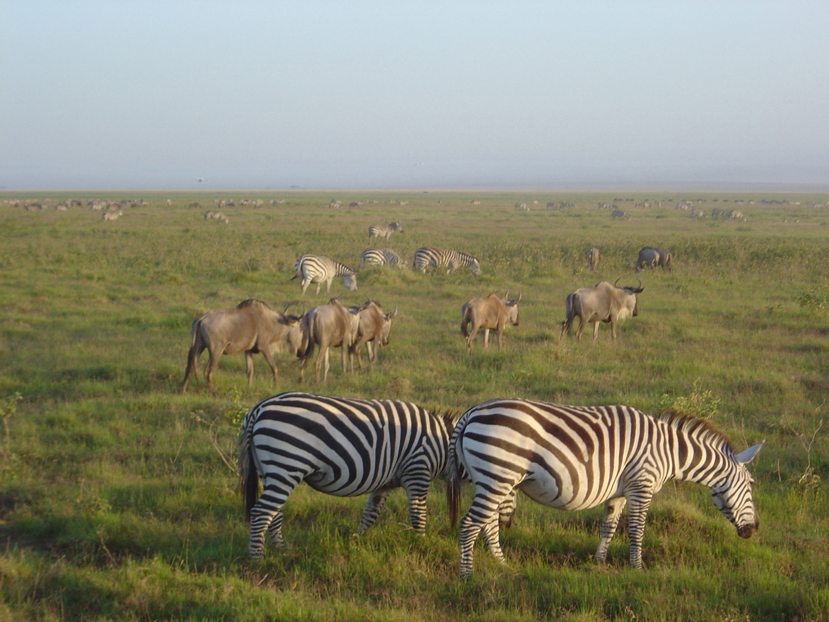 Amboseli National Park