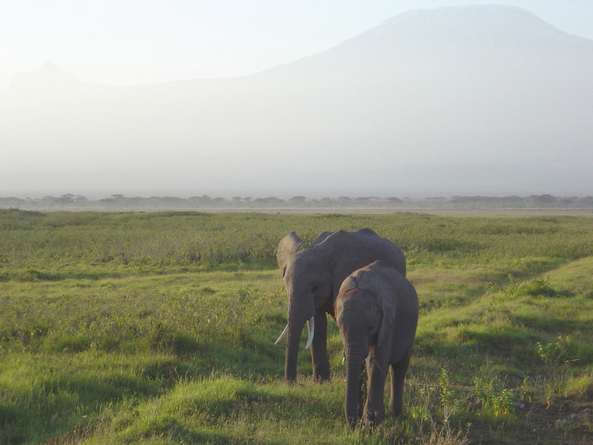 Amboseli National Park