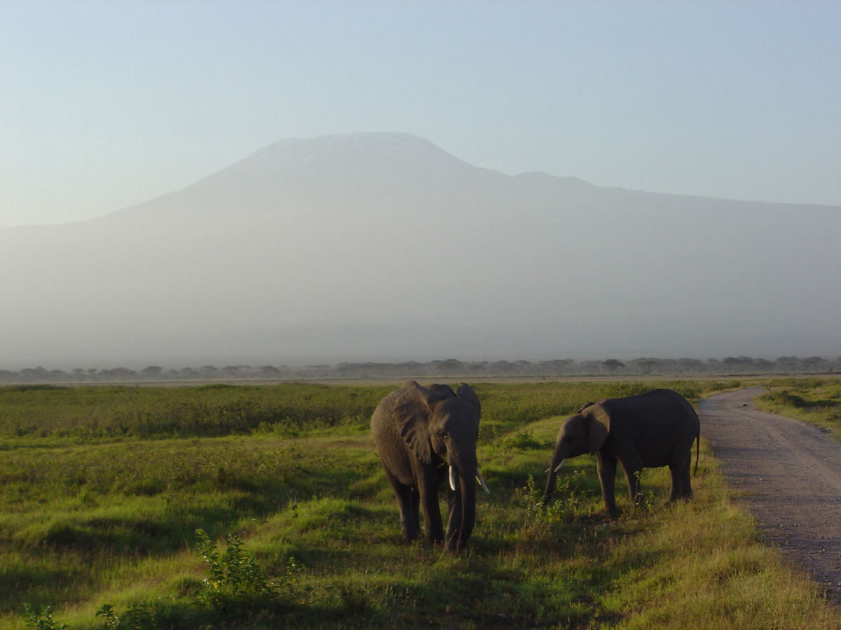 Amboseli National Park