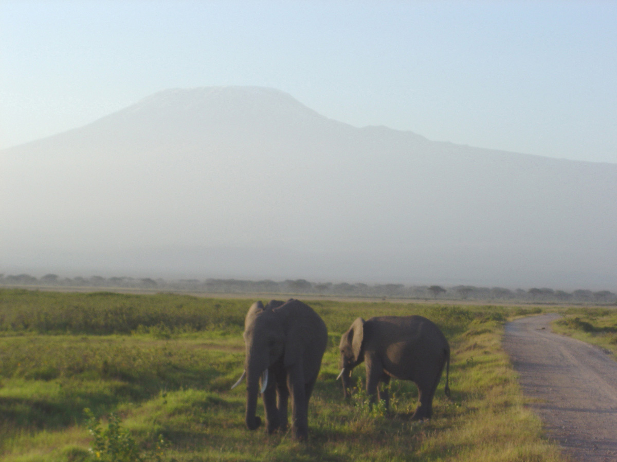 Amboseli National Park