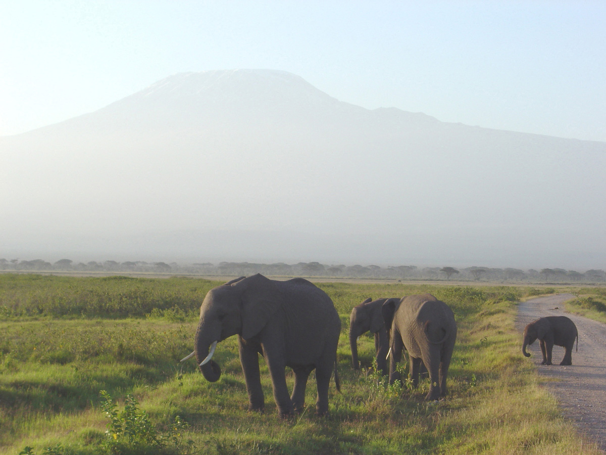 Amboseli National Park