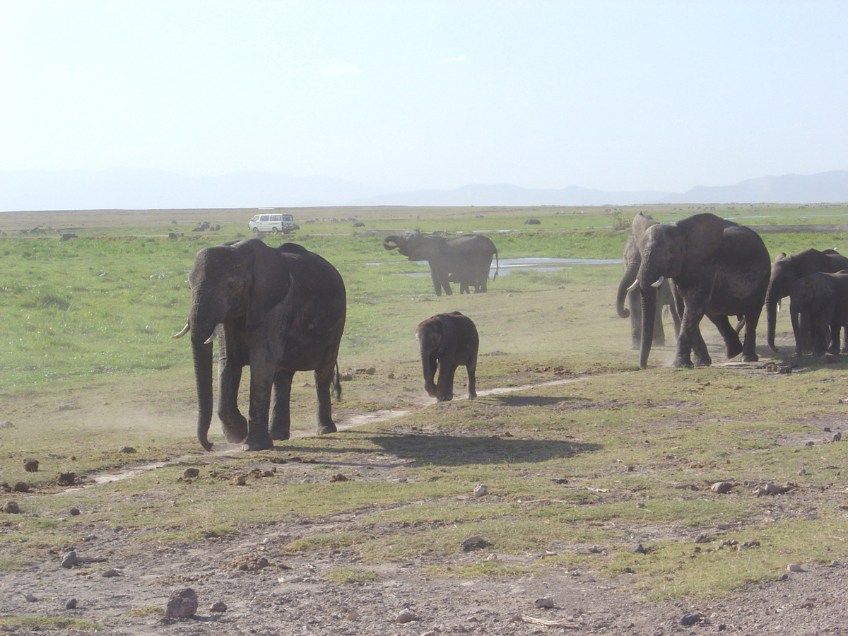 Amboseli National Park