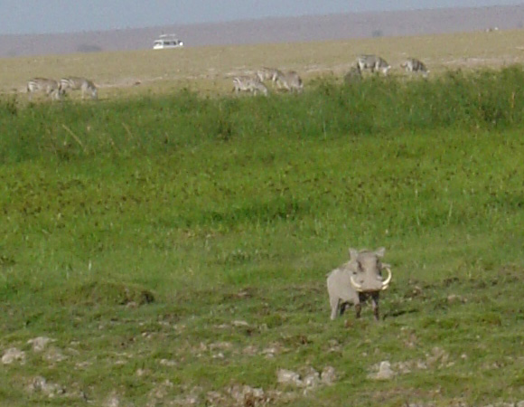Amboseli National Park