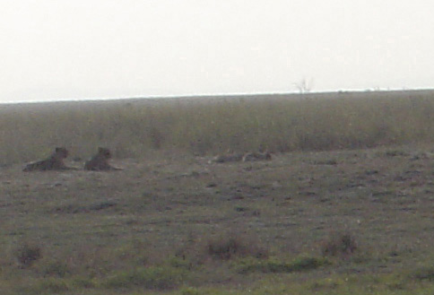 Amboseli National Park