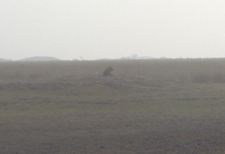 Amboseli National Park