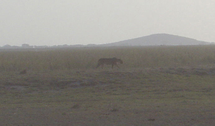 Amboseli National Park