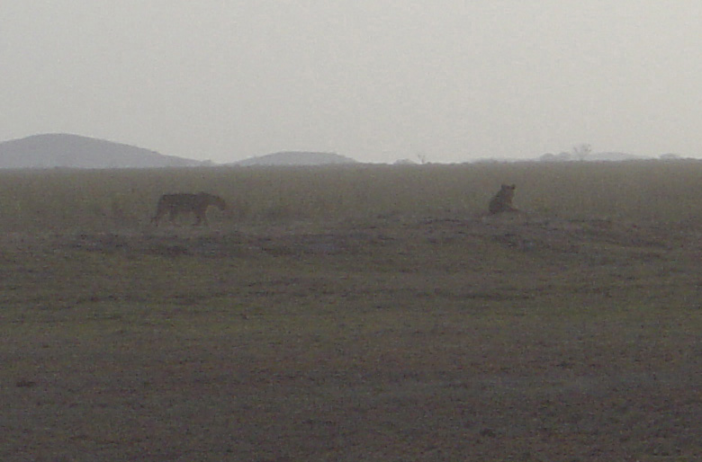 Amboseli National Park