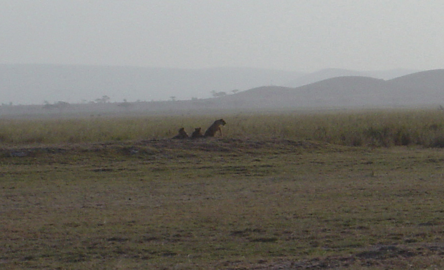 Amboseli National Park